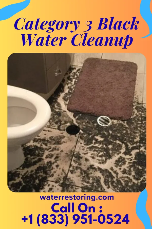 Category 3 Black Water Cleanup in DeForest, WI