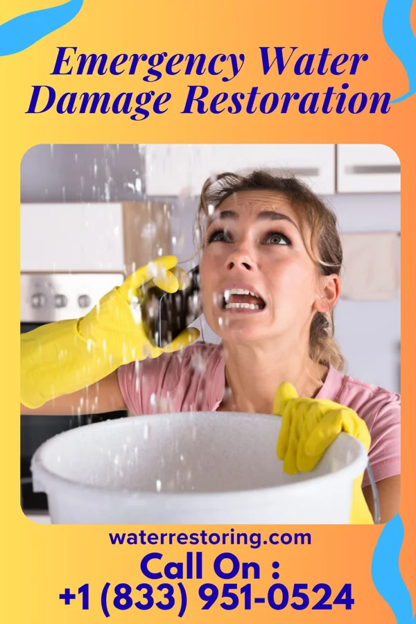 Emergency Water Damage Restoration in DeForest, WI