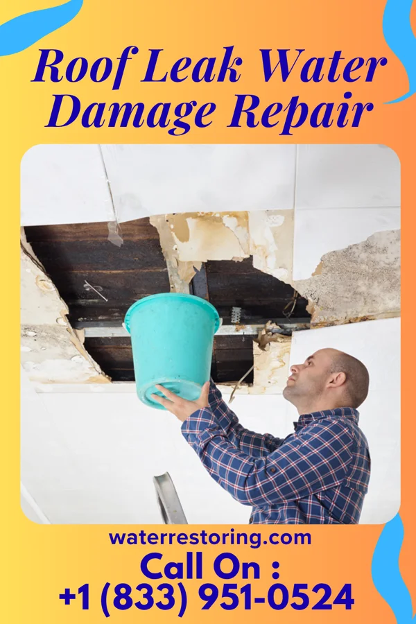 Roof Leak Water Damage Repair in DeForest, WI